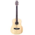 GUITARRA ACÚSTICA VT38 VICTORIA CON ESTUCHE SEMIDURO GA6021