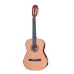 GUITARRA CLÁSICA TS-CG 35-39 TAYSTE CON ESTUCHE SEMIDURO GA6017