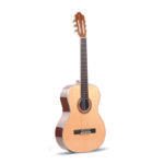 GUITARRA CLÁSICA TS-CG 300-39 TAYSTE GA6019