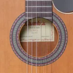 GUITARRA ELECTROACUSTICA ALHAMBRA Z-NAT CT EZESTU LONA