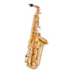 SAXOFON ALTO BUFFET BC8101-1-0