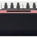 TECLADO ORGANETA MEDELI M221L