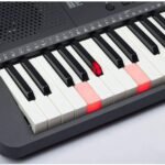 TECLADO ORGANETA MEDELI M221L