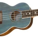 UKULELE ELECTROACUSTICO FENDER DHANI HARRISON 0971752197