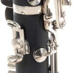 CLARINETE ROY BENSON CB-218 RB700451