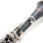 CLARINETE ROY BENSON CB-218 RB700451