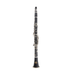 CLARINETE ROY BENSON CB-218 RB700451