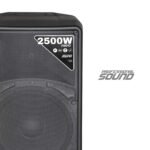 CABINA ACTIVA DIRECTA BLACK JYR J5268 / 12″ /