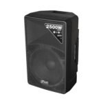 CABINA ACTIVA DIRECTA BLACK JYR J5268 / 12″ /