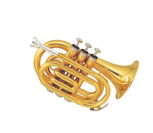 TROMPETA BOLSILLO 50 MARCA S.I – SI5002