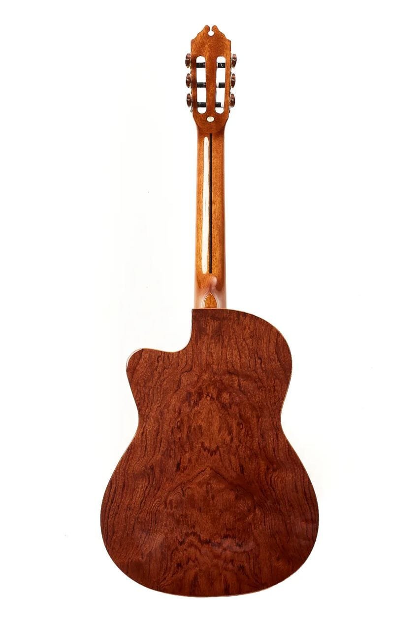 Guitarra-Acustica-Persian-AC181AC-2