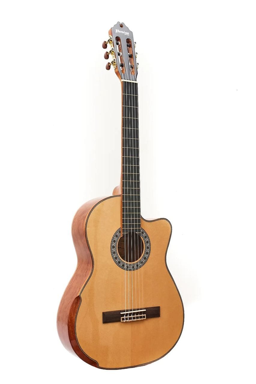 Guitarra-Acustica-Persian-AC181AC-3