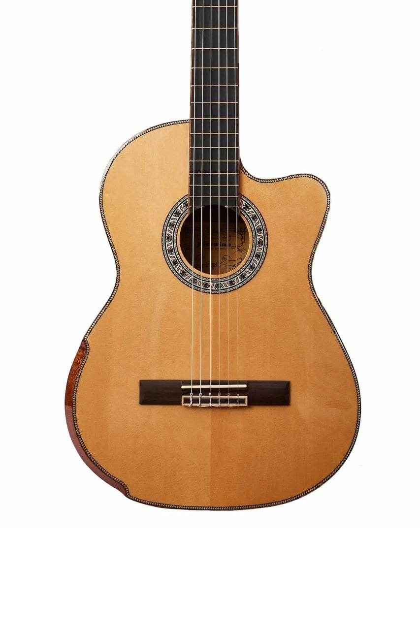 Guitarra-Acustica-Persian-AC181AC-4