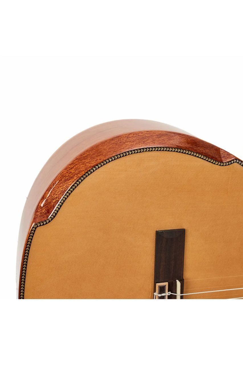 Guitarra-Acustica-Persian-AC181AC-6