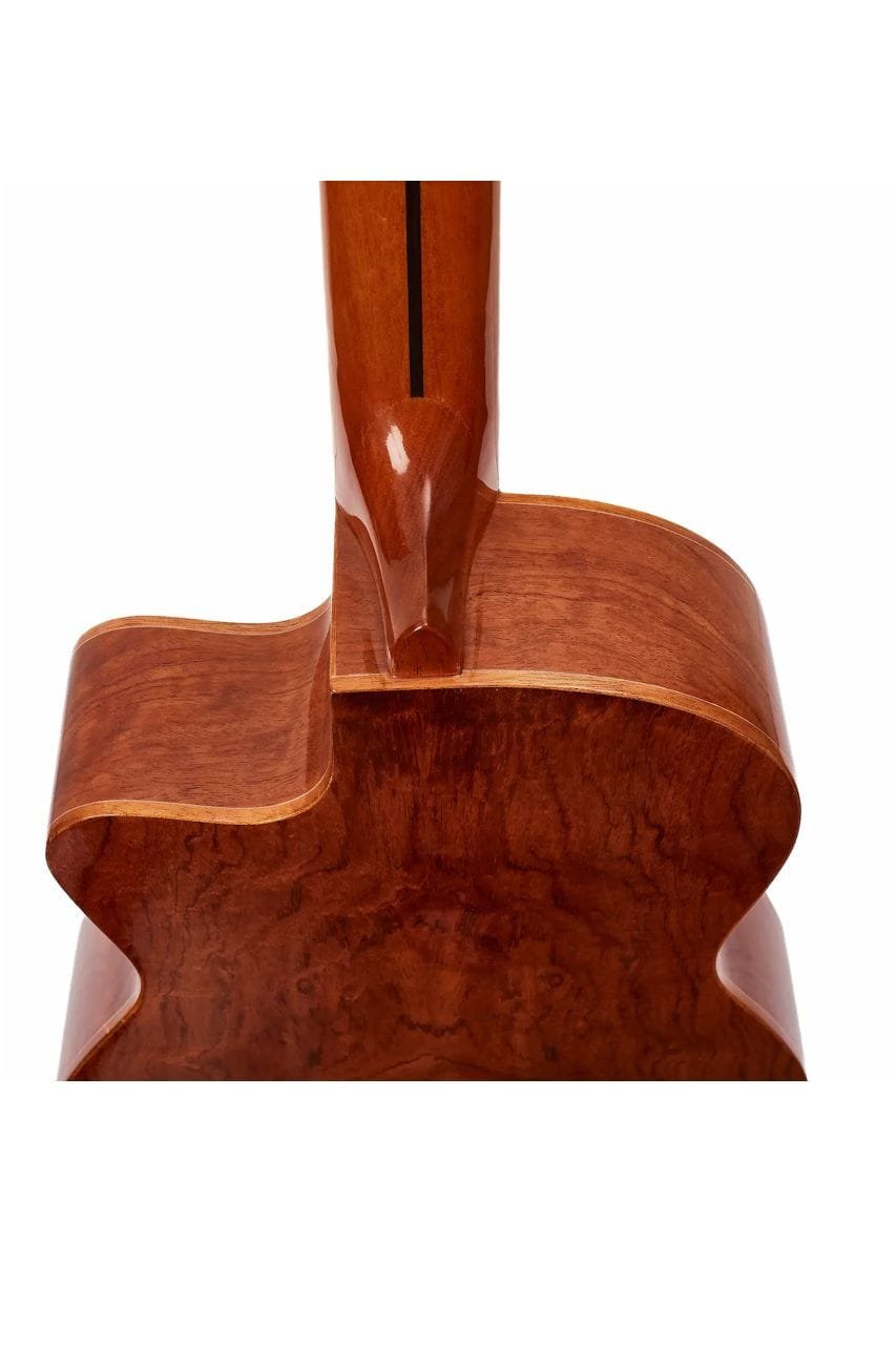 Guitarra-Acustica-Persian-AC181AC-7