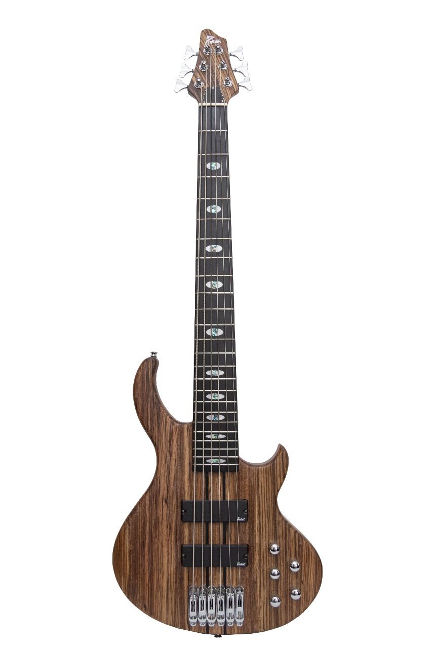 guitarra-EBS736-2-foto-1-edit