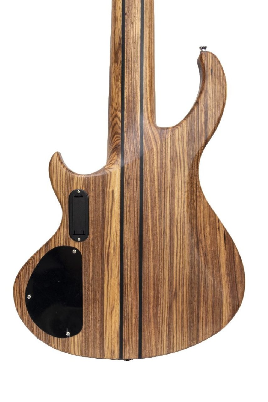guitarra-EBS736-2-foto-2-edit