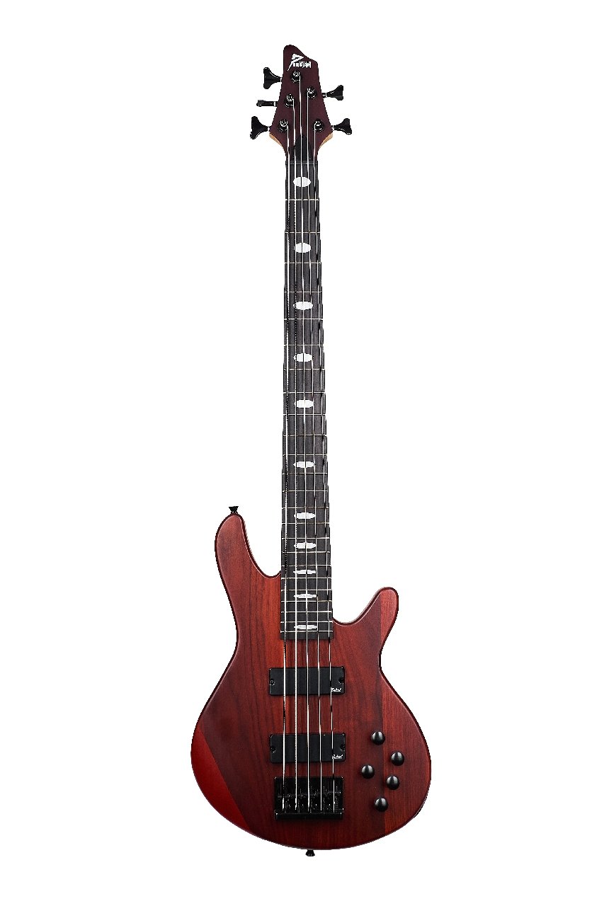 guitarra-EBS755-1-foto-1-edit