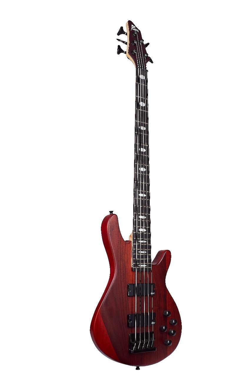 guitarra-EBS755-1-foto-4-edit