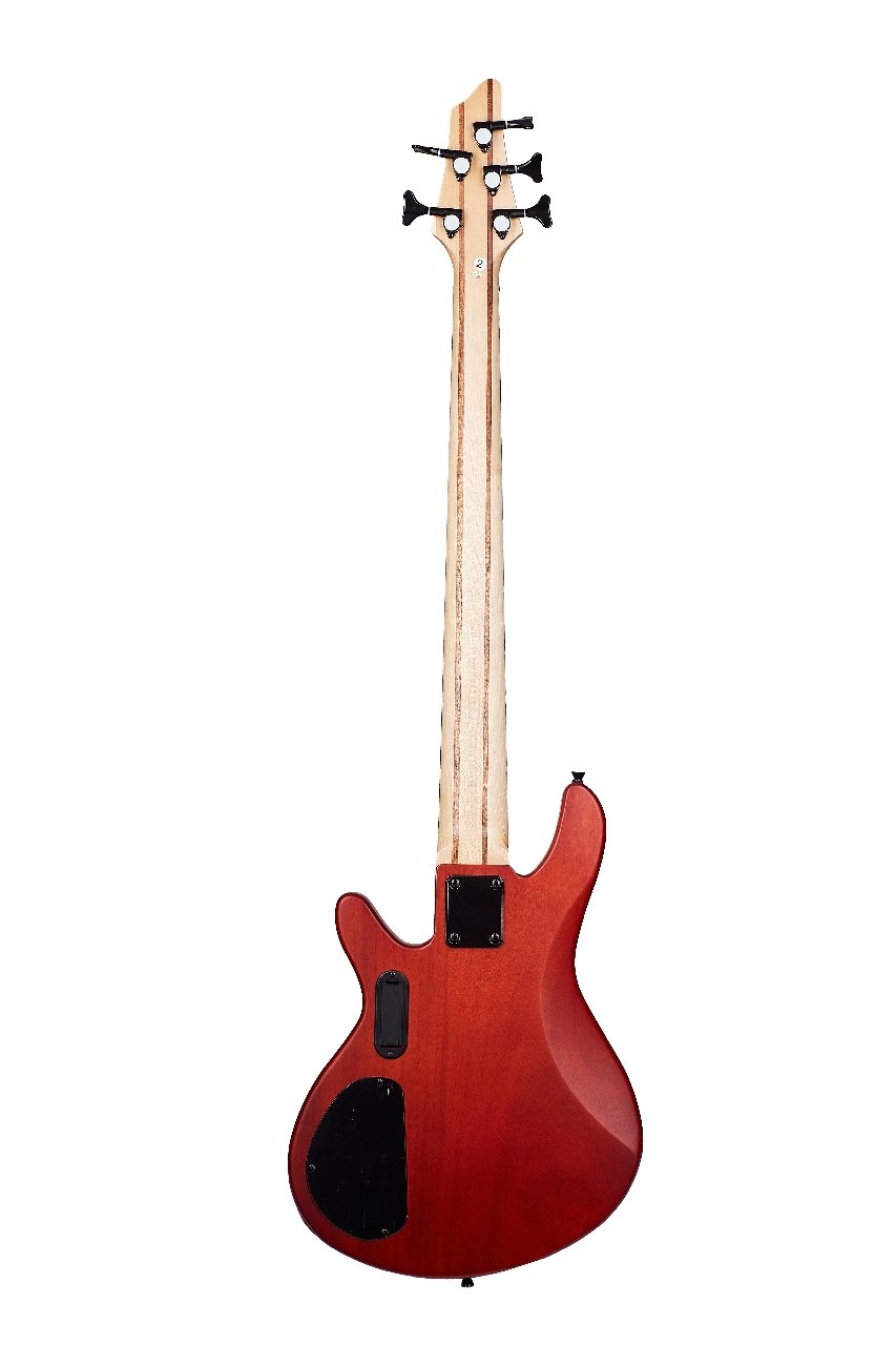 guitarra-EBS755-1-foto-5-edit